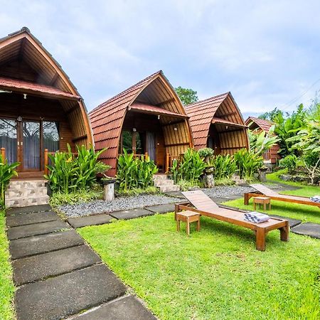 Kintamani Paradise Villa エクステリア 写真