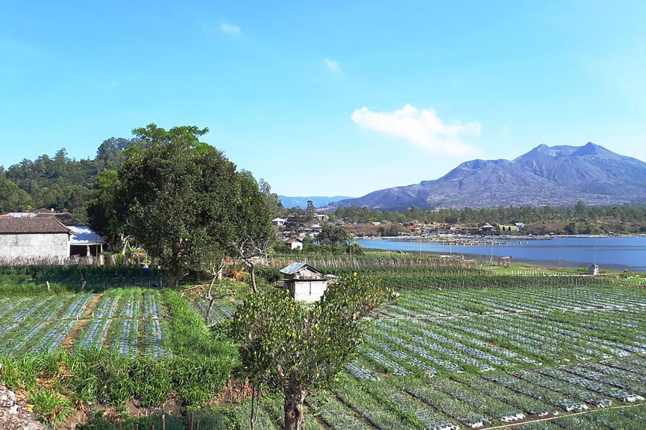 Kintamani Paradise Villa エクステリア 写真